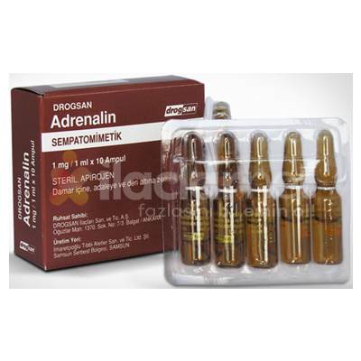 ADRENALIN 1 MG 10 AMPUL