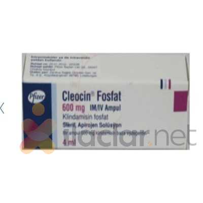 CLEOCIN FOSFAT 600 MG IM/IV 1 AMPUL