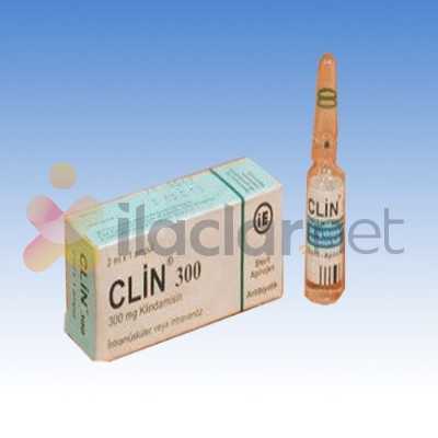CLIN 300 MG/2 ML ENJEKSIYONLUK COZELTI (1 AMPUL)